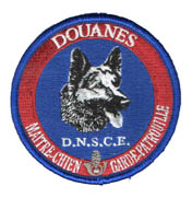 dnsce k9